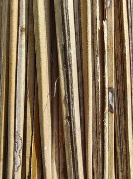 Sticks are suitable for patterns and backgrounds Stock Photos