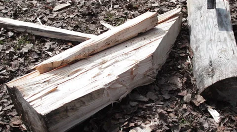 Sticks an ax in a Log Stock Footage 62416567