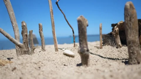 Sticks in the Beach Stock Footage 309481963
