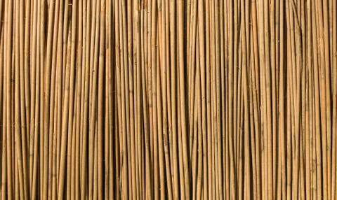 Sticks texture Foto stock