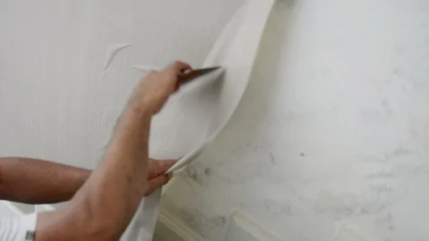 Sticks wallpaper on the wall at home. Stock Footage 123716112