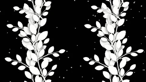 Sticky Stock Footage 143596437