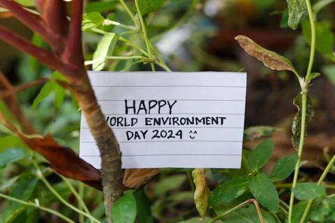 Sticky notes, world environment day concept Stock Photos