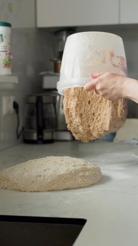 Sticky risen dough lifted from translucent tub and dropped onto floured Stock Footage 339306693