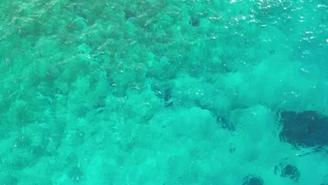 A sticky seabed Video stock 265681533