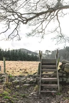 Stile over a wall. 스톡 사진
