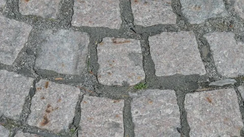 Still close up over stone grey pat Video stock 106061708