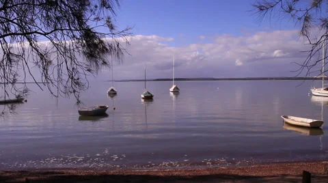 Still day on the bay 库存影片 39948392