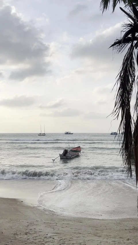 Still footage of beach at sunset early and long tails floating on the ocean  Stock Footage 246353360