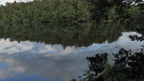 Still Forest Lake Reflects Overcast Sky on a Summer Day in Poland Vídeo Stock 342719226