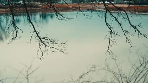 Still Lake With Foreground Branches - Fairfield Connecticut Nature Scene Stock Footage 308337422