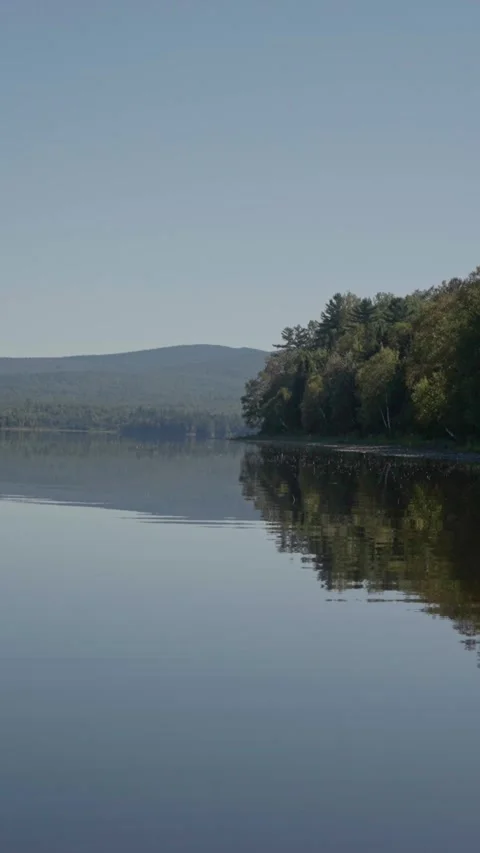 Still Lake Reflection of Forest and Mountain in Soft Morning Light Stock Footage 324576026
