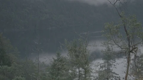 Still lake shot through trees and forest Stock Footage 127121505