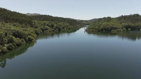 Still Lake Waters With Forest Trees Reflection Stockbeeldmateriaal 281246948