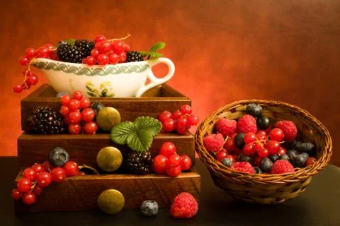 Still life with berries Фото