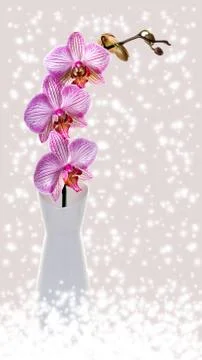 Still life with blooming orchid Stock Illustration