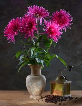 Still life with a bunch of asters Stock Photos