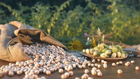 Still life with chickpeas. Stockbeeldmateriaal 87102256