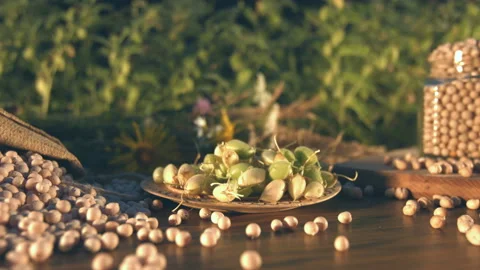 Still life with chickpeas. Vidéo 87102592