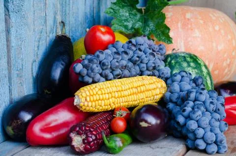 Still life of corn, grapes, eggplant, pumpkins and peppers on the old backgro Стоковые фото