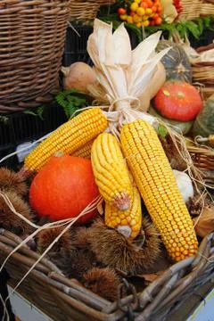 Still life with corn. Stock Photos