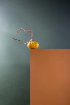 Still life with a decorative pumpkin on a rectangular figure Stock Photos