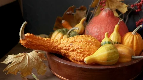 Still life with decorative pumpkins, mountain ash and autumn leaves Stock Footage 118696349