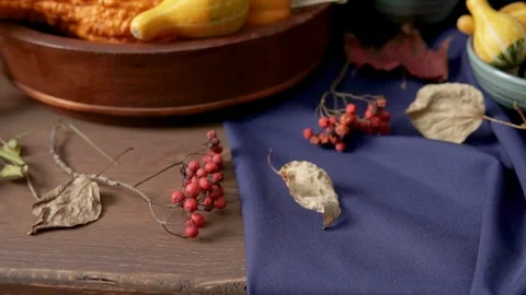 Still life with decorative pumpkins, mountain ash and autumn leaves Видео 118696404