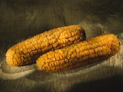 Still life of dry corn. Foto stock