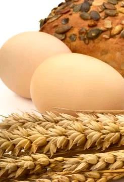 Still Life with eggs Stock Photos
