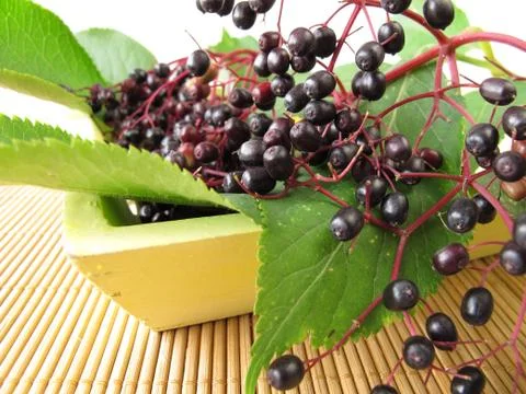 Still life with elderberries Stock Photos