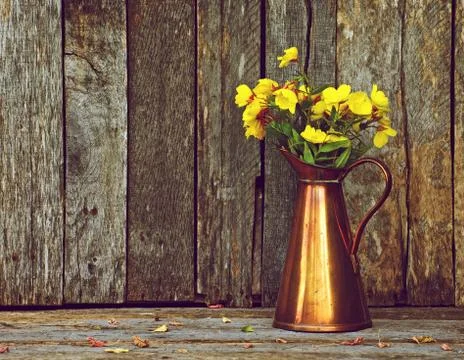 Still life flowers. Stock Photos