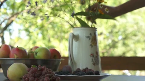 Still life 動画素材 11360068