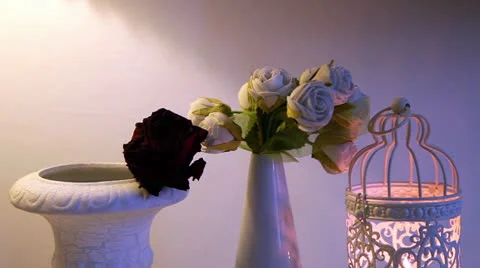 Still life Stock Footage 22571552