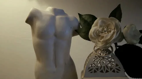 Still life Видео 22571983
