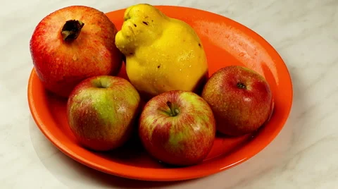 Still Life Stock Footage 45096373