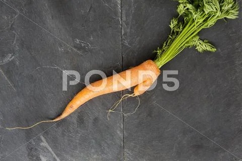Still Life Of Fresh Misshapen Carrot