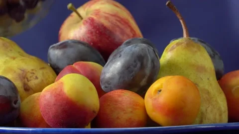 Still life with fruit and a bottle of wine. Apples, pears, plums, grapes and nec 動画素材 139097507
