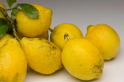 Still life of Lemons and oranges and other vegetables Stock Photos