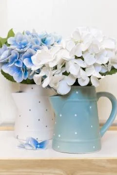 Still-life with Multi-colored Hydrangeas in Jugs. Flowers Background. Gardeni Stock Photos