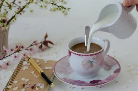 Still Life with a notebook ,a pen, spring branch,a cup of coffee Stock Photos