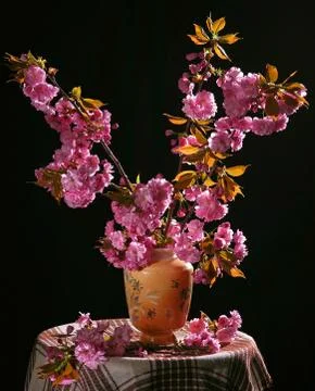 Still life 写真素材