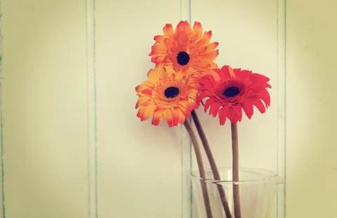 Still life Stock Photos