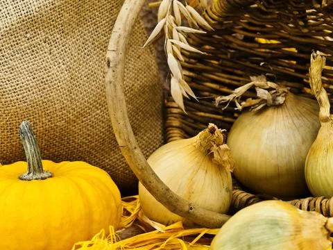 Still Life Foto stock