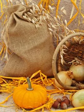 Still Life Stock Photos