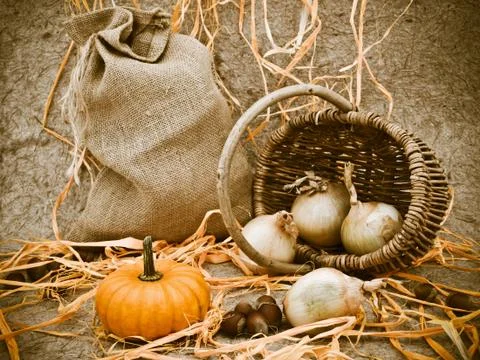 Still Life Stock Photos