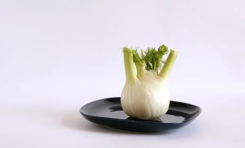 Still life 스톡 사진