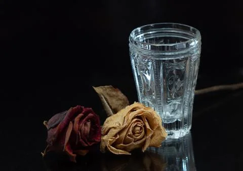 Still life. Stock Photos