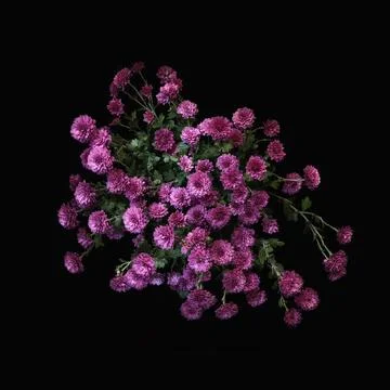 Still life Stock-Fotos