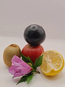 Still life Stock Photos